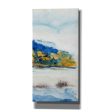 Island Mist III  by Tim O Toole Canvas Wall Art on Sale