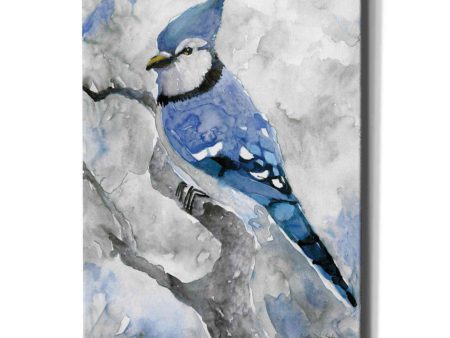 Blue Jay 2  by Stellar Design Studio, Canvas Wall Art Supply