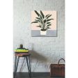 Houseplant IV  by Victoria Borges Canvas Wall Art Online now