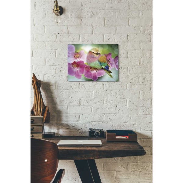 Pretty Boy  by Steve Hunziker, Canvas Wall Art Online Hot Sale