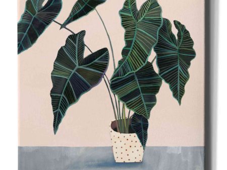 Houseplant II  by Victoria Borges Canvas Wall Art For Discount