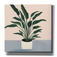 Houseplant IV  by Victoria Borges Canvas Wall Art Online now