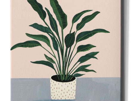 Houseplant IV  by Victoria Borges Canvas Wall Art Online now