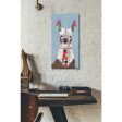 Adorned Llama I  by Victoria Borges Canvas Wall Art For Discount