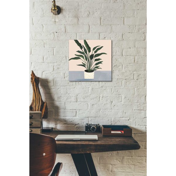 Houseplant IV  by Victoria Borges Canvas Wall Art Online now