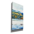 Island Mist II  by Tim O Toole Canvas Wall Art For Sale