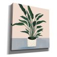 Houseplant IV  by Victoria Borges Canvas Wall Art Online now