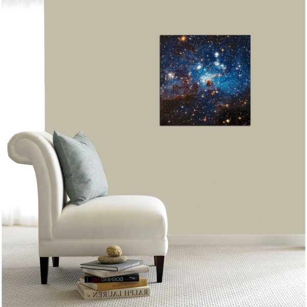 LH 95 Star Cluster  Hubble Space Telescope Canvas Wall Art Sale