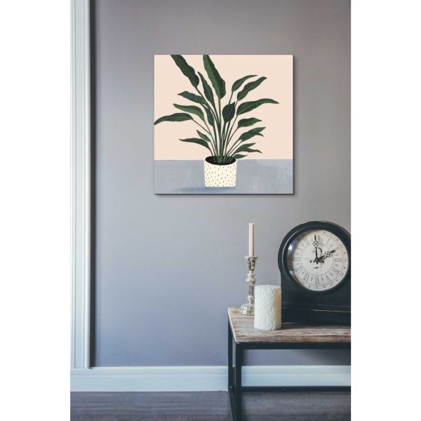 Houseplant IV  by Victoria Borges Canvas Wall Art Online now