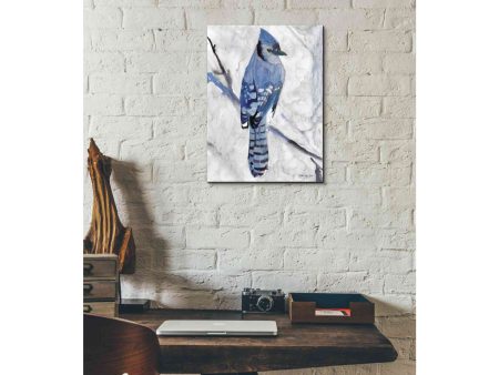 Blue Jay 1  by Stellar Design Studio, Canvas Wall Art For Sale