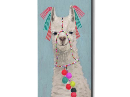 Adorned Llama II  by Victoria Borges Canvas Wall Art Online