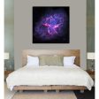 Crab Nebula  Hubble Space Telescope Canvas Wall Art Online now