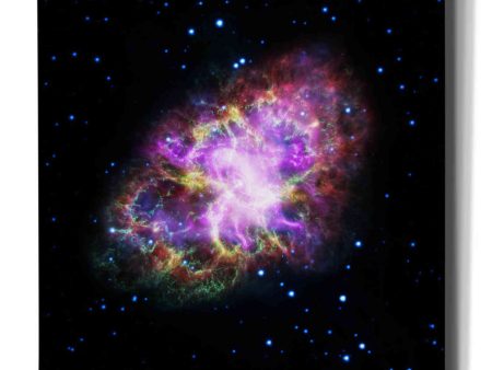 Crab Nebula Multi-Wavelengths  Hubble Space Telescope Canvas Wall Art Supply