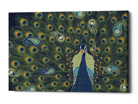 Peacock Paradise VI  by Veronique Charron, Canvas Wall Art Sale