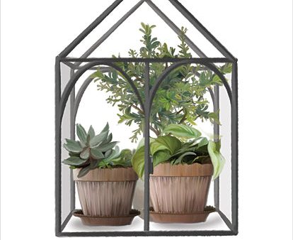 FEN877 - Just Keep Growing Greenhouse - 12x16 Sale