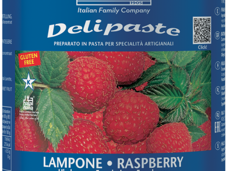 Fabbri Raspberry - DELIPASTE (COMPOUND PASTES) - 8 x 1.5KG Tin - Fabbri Canada Fashion