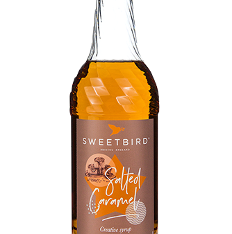 Sweetbird Syrup - Salted Caramel - 6 x 1 L Case - Vegan - Canadian Distribution For Discount