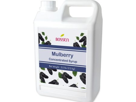 Mulberry | Multi-Use | Bubble Tea Syrup | Fruit Puree | Fruit Smoothie Slushie Mix | Foodservice Canada For Sale