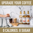 Sugar Free Coffee Syrup, Gingerbread | 6 x 750ml Bottles Cheap