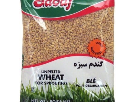 Sadaf Unpelted Wheat - 12 oz. For Discount