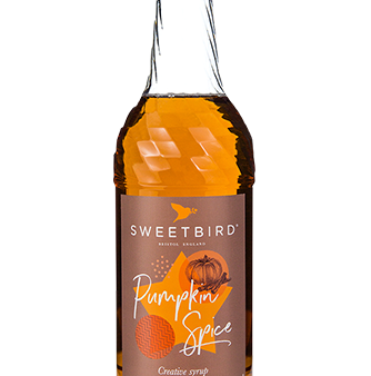 Sweetbird Syrup - Pumpkin Spice - 6 x 1 L Case - Vegan - Canadian Distribution Discount