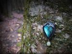 Penelope s Arch ~ Labradorite Amulet For Discount